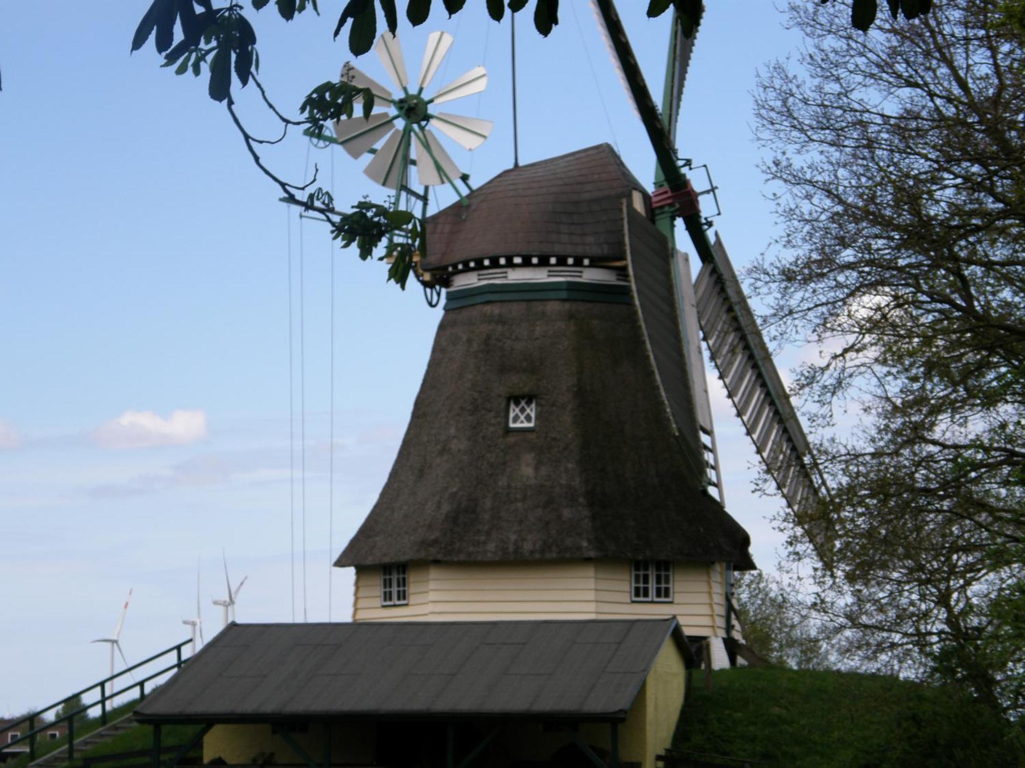 Landhotel Rehedyk Sankt Michaelisdonn Extérieur photo